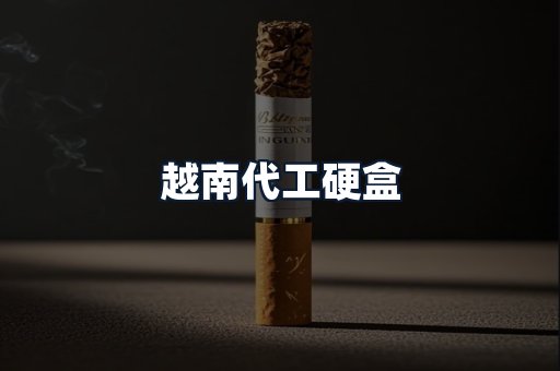 越南代工硬盒